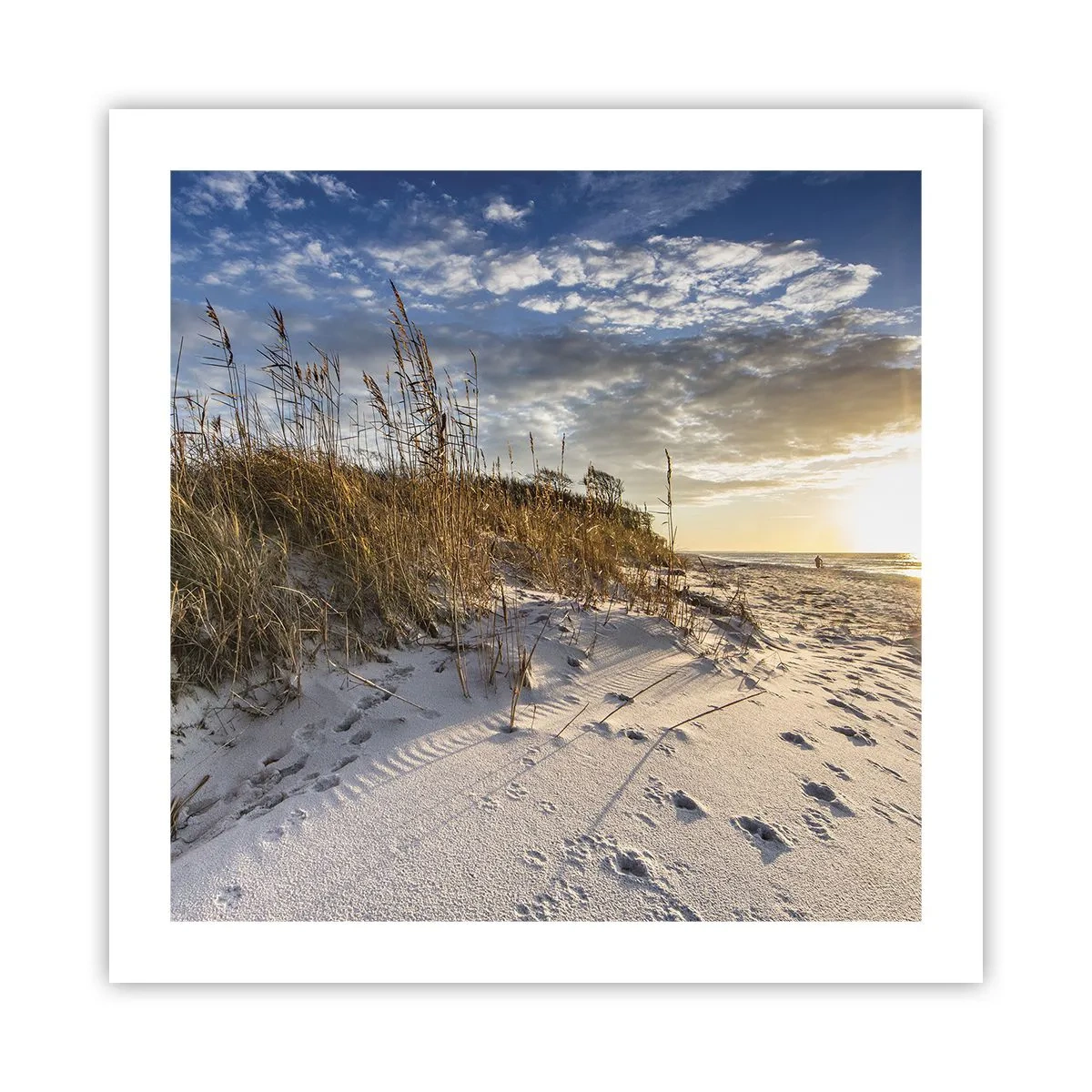 Poster - Invito a passeggiare - 50x50 cm