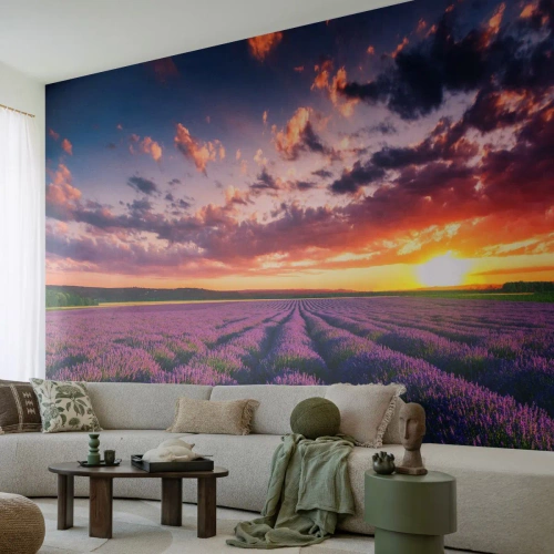 Fotomurali Premium Sand - Il mondo della lavanda - Paesaggio, Campo di lavanda, Lavanda - 200x140 cm