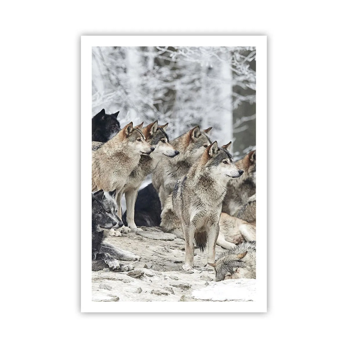 Poster - Famiglia e amici - 61x91 cm