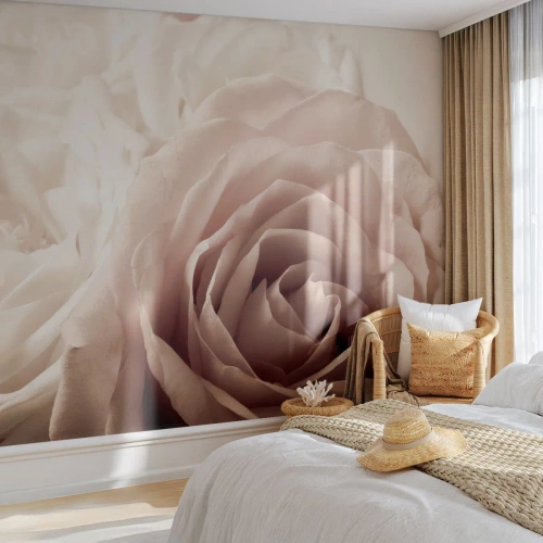 Fotomurale su misura Adesiva Deluxe Sticker - Nel cuore della rosa - Rose, Fiori, Romantico