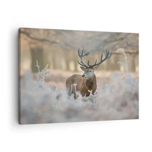 Quadro su tela - Stampe su Tela - Un cervo in una radura gelida in una foresta invernale dai colori tenui - 70x50cm - Fresco mattino - Decorazione murale moderna per soggiorno e camera da letto ARTTOR