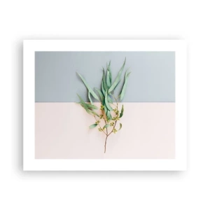 Poster - Delicatezza pastello - 50x40 cm