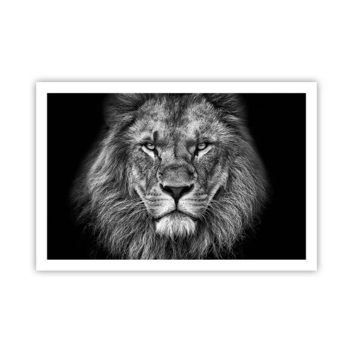 Poster - Nell'abito dell'incoronazione - 91x61 cm