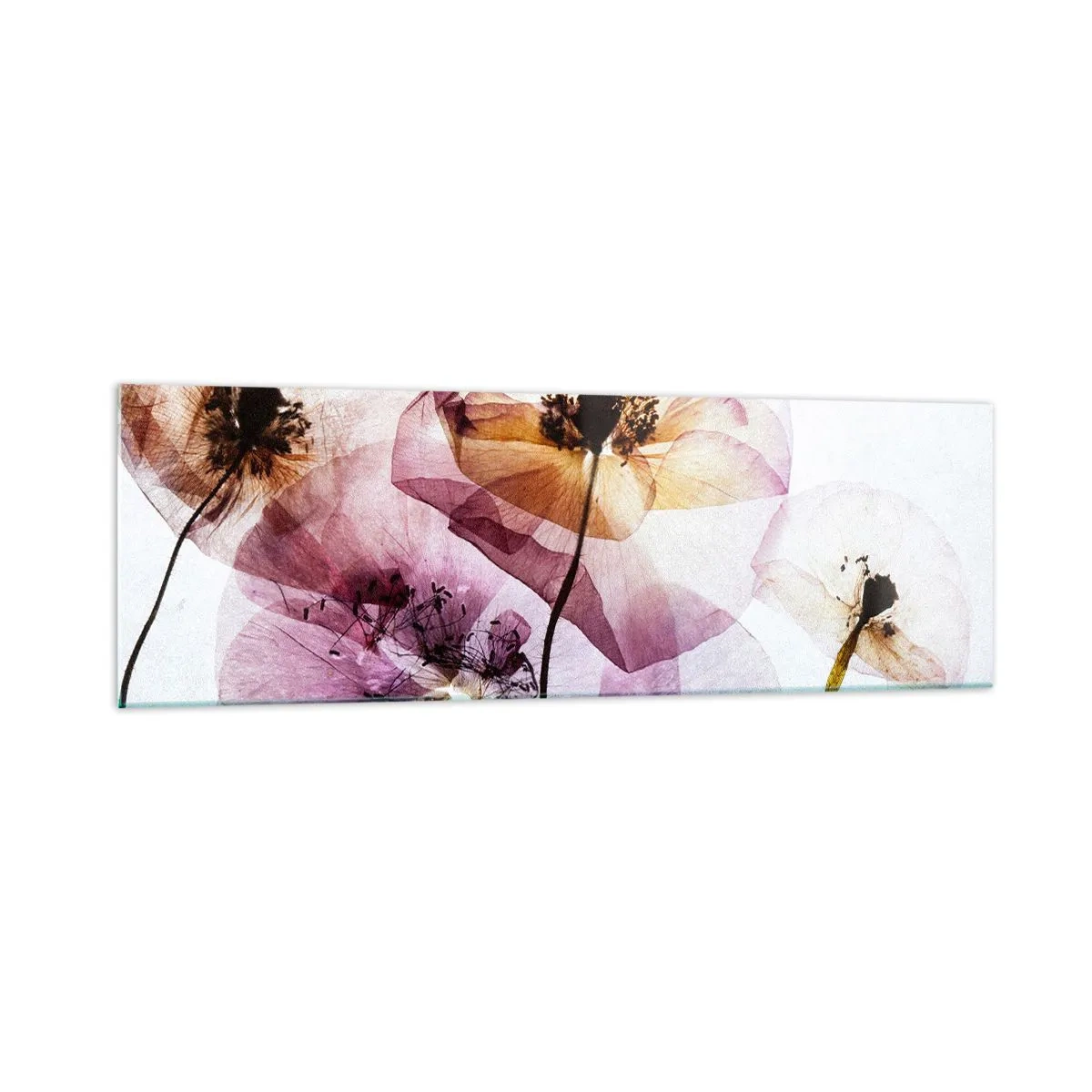 Quadro su vetro - Delicati fiori trasparenti in tonalità pastello - 160x50cm - Fiori trasparenti - Decorazione murale moderna per soggiorno e camera da letto ARTTOR