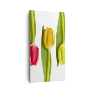 Quadro su tela - Stampe su Tela - Composizione arcobaleno - 55x100 cm