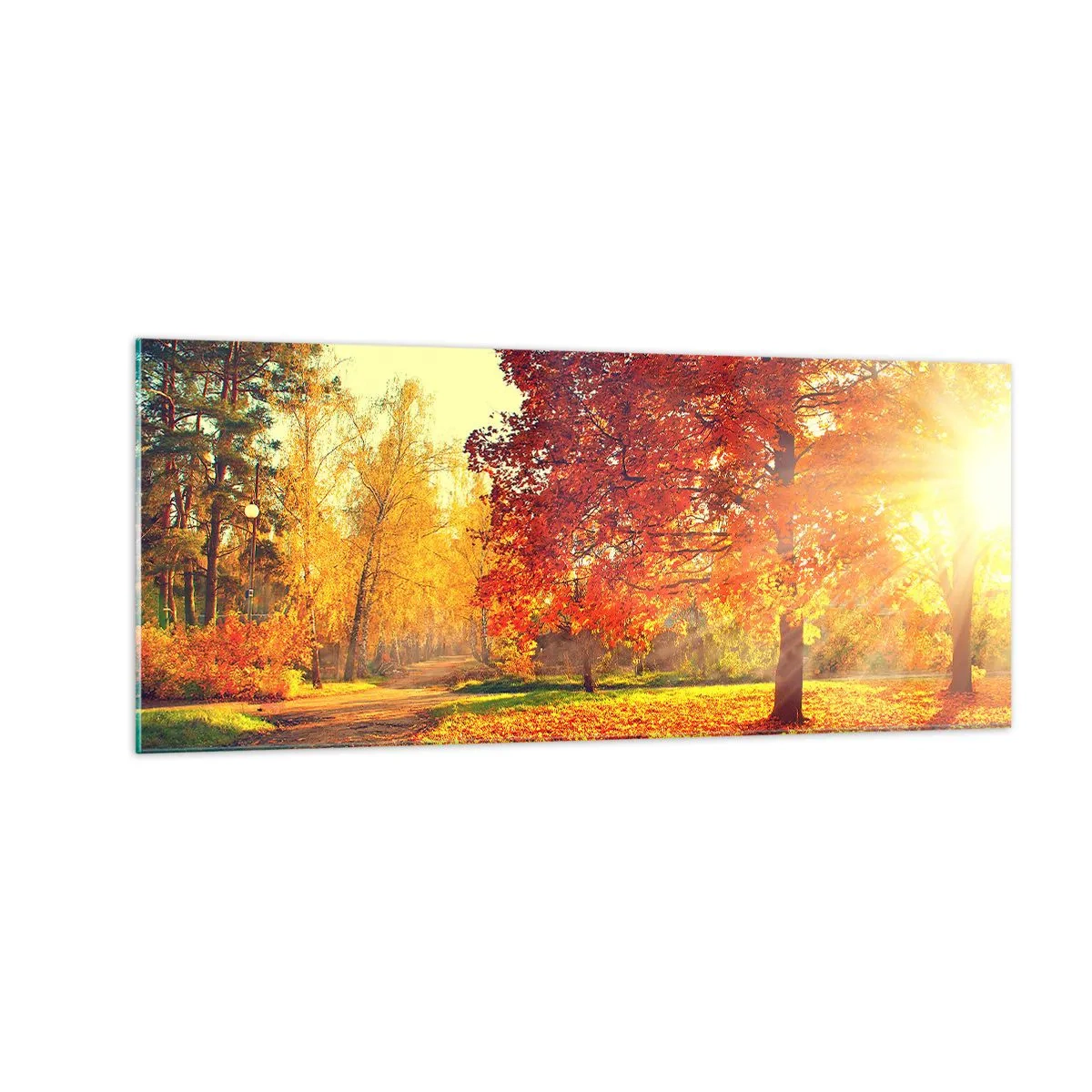 Quadro su vetro - Rosso è bello - 100x40 cm