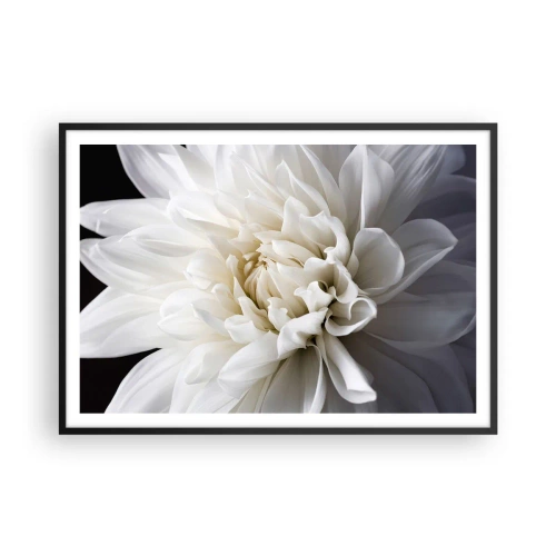 Poster in cornice nera - Un delicato fiore bianco su sfondo nero in una composizione elegante - 100x70cm - Il mattino della sposa - Decorazione murale moderna per soggiorno e camera da letto ARTTOR