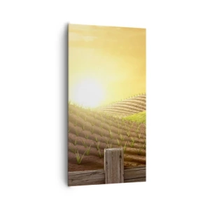 Quadro su tela - Stampe su Tela - La fattoria delle favole - 65x120 cm