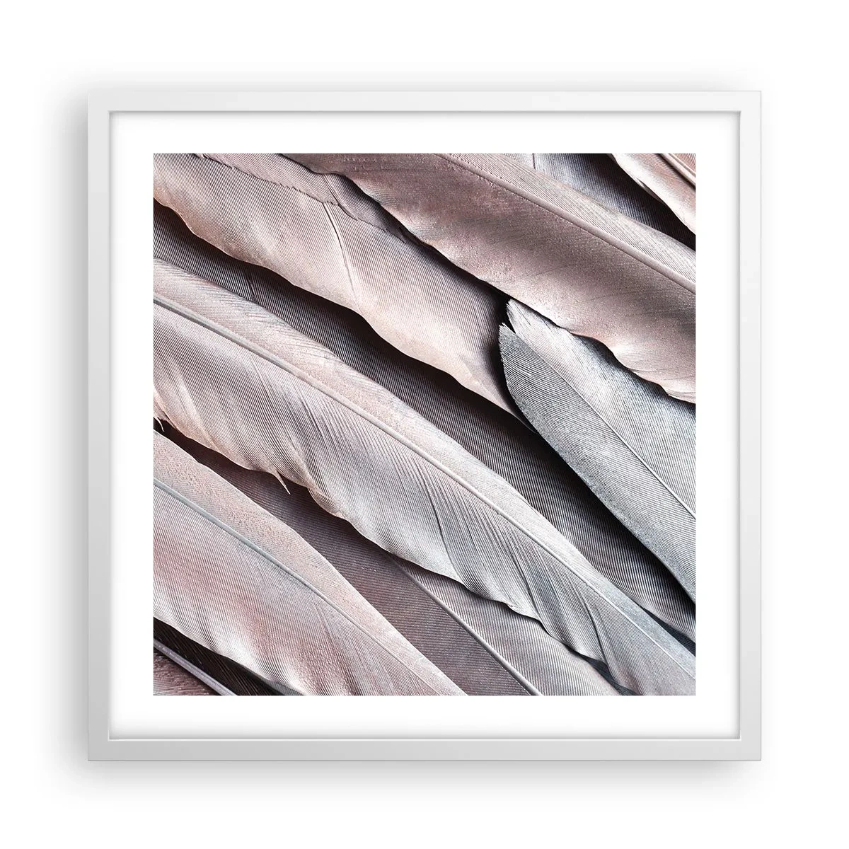 Poster in cornice bianca - Argento rosato - 50x50 cm