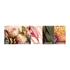 Campione di Fotomurale Adesivo Deluxe Sticker - Tenero abbraccio - Fiori, Impianti, Botanica - 100x30 cm