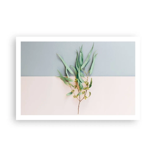 Poster - Delicatezza pastello - 91x61 cm