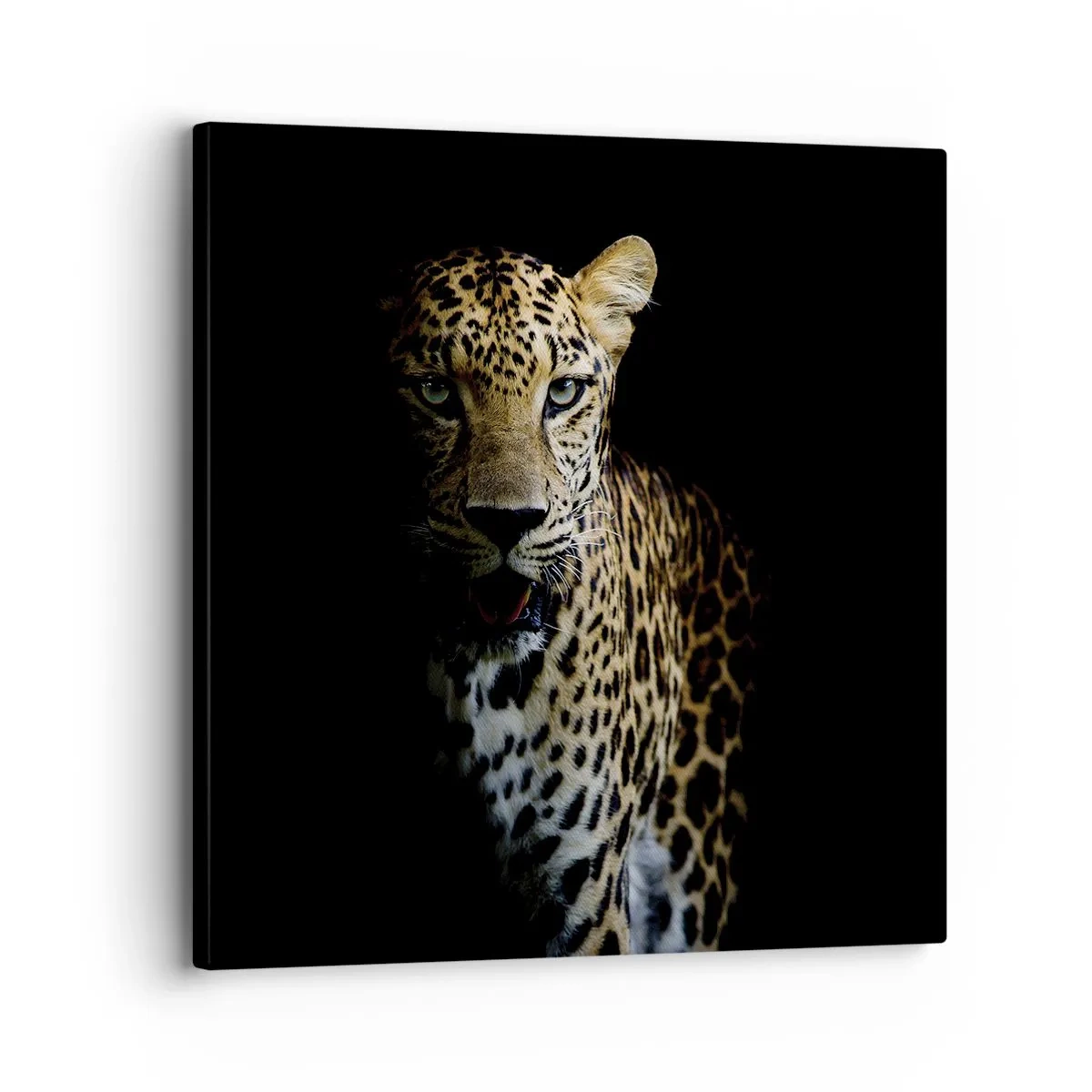 Quadro su tela - Stampe su Tela - Bellezza tenebrosa - 30x30 cm