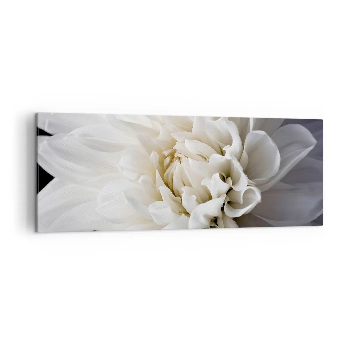 Quadro su tela - Stampe su Tela - Un delicato fiore bianco su sfondo nero in una composizione elegante - 140x50cm - Il mattino della sposa - Decorazione murale moderna per soggiorno e camera da letto ARTTOR