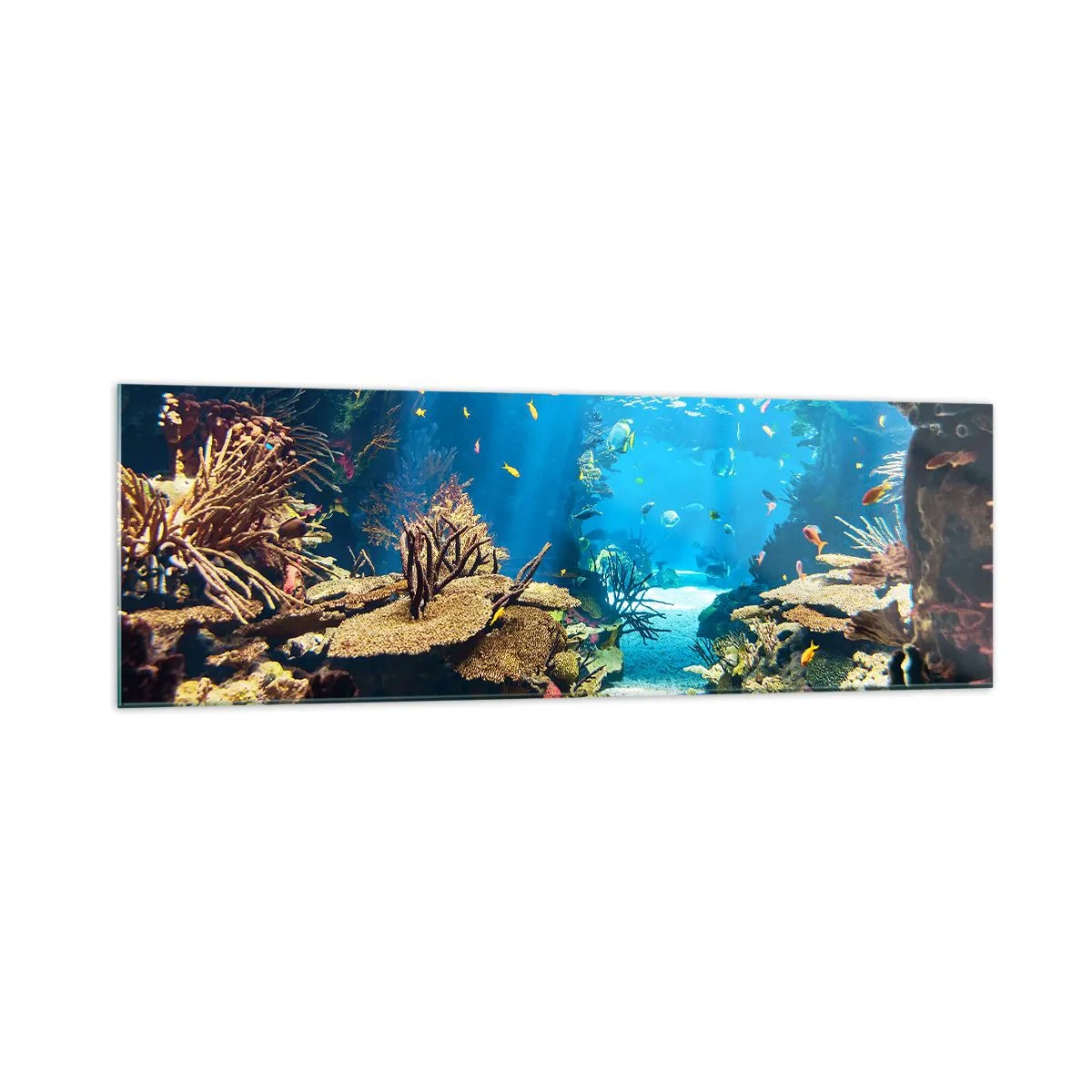 Quadro su vetro - Mondo sottomarino con barriera corallina e pesci - 160x50cm - Non lo avresti neanche sognato - Decorazione murale moderna per soggiorno e camera da letto ARTTOR
