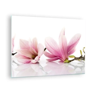 Quadro su vetro - Delicati fiori di magnolia su sfondo bianco - 70x50cm - Delicati come un soffio di primavera - Decorazione murale moderna per soggiorno e camera da letto ARTTOR