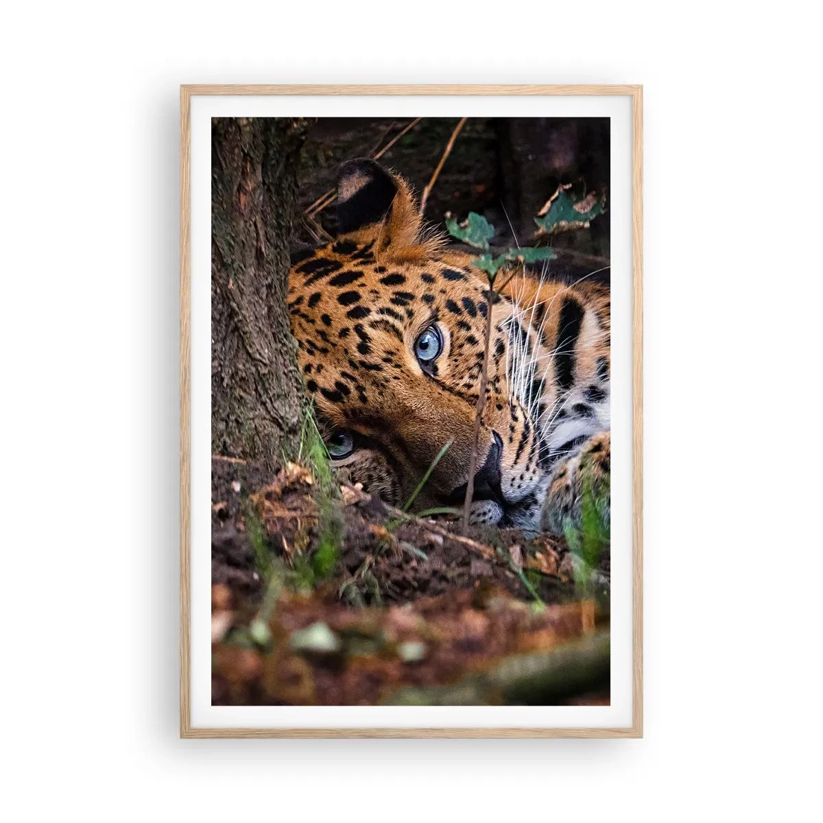 Poster in cornice rovere chiaro - Fidati di me - 70x100 cm