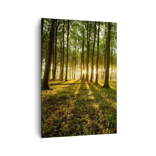 Quadro su tela - Stampe su Tela - Il sole al tramonto nella foresta decidua - 50x70cm - La foto di ogni primavera - Decorazione murale moderna per soggiorno e camera da letto ARTTOR
