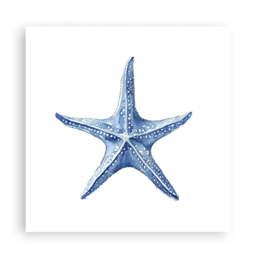 Poster - Stella marina - 60x60 cm