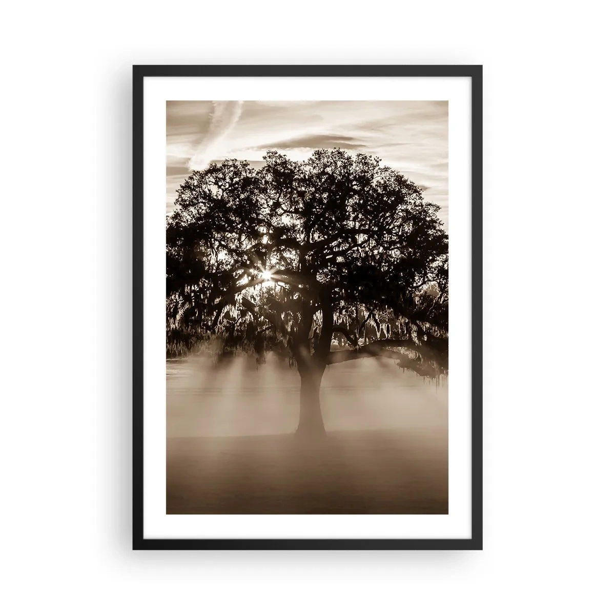Poster in cornice nera - Albero nella nebbia con raggi di luce - 50x70cm - L'albero delle sole buone notizie - Decorazione murale moderna per soggiorno e camera da letto ARTTOR