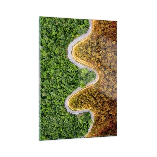Quadro su vetro - Una strada tortuosa attraverso una fitta foresta vista a volo d'uccello - 50x70cm - Confine e separazione - Decorazione murale moderna per soggiorno e camera da letto ARTTOR