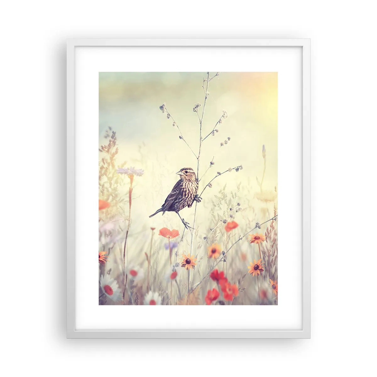 Poster in cornice bianca - Ritratto d'uccello con prato di sfondo - 40x50 cm