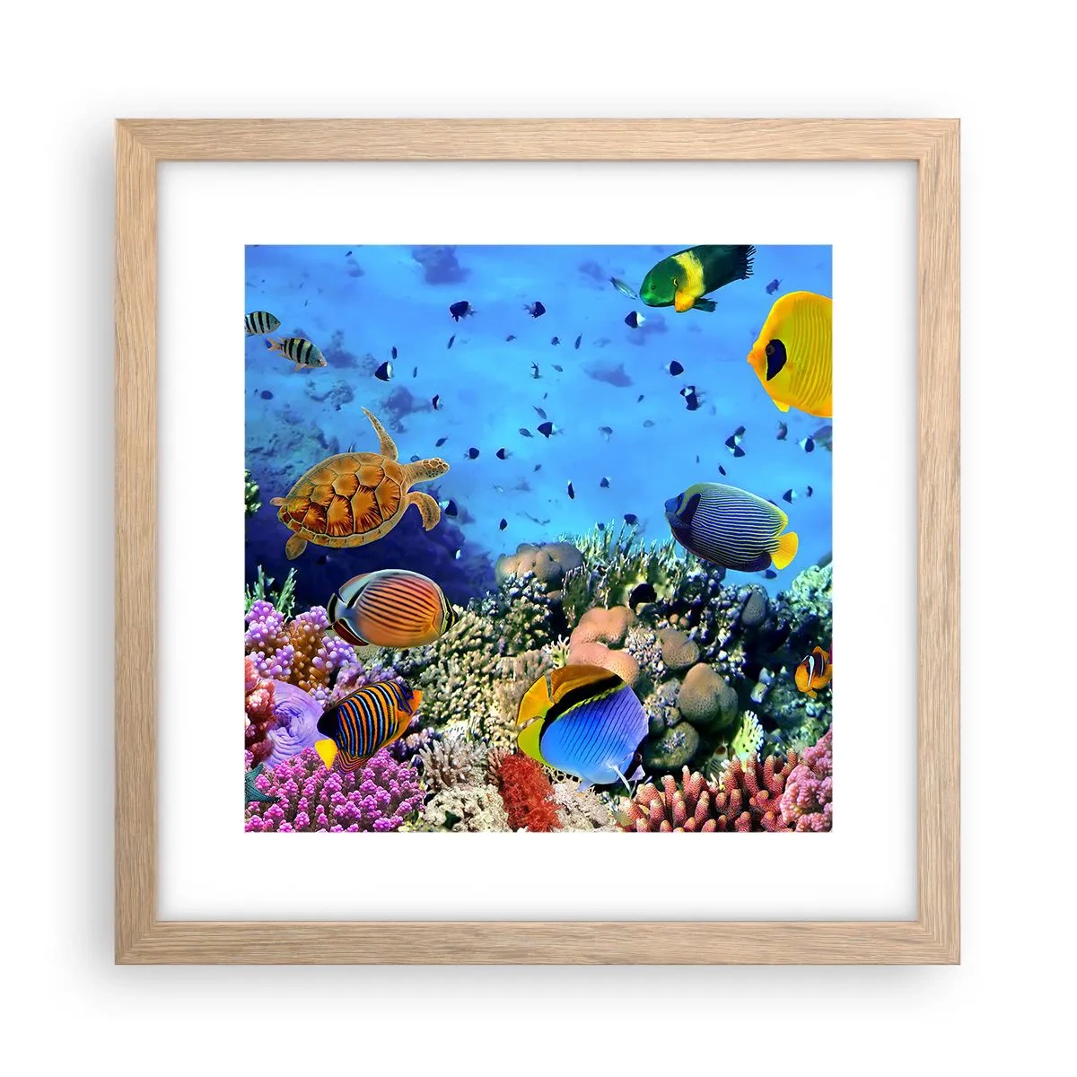 Poster in cornice rovere chiaro - Ma cosa sappiamo della vita... - 30x30 cm