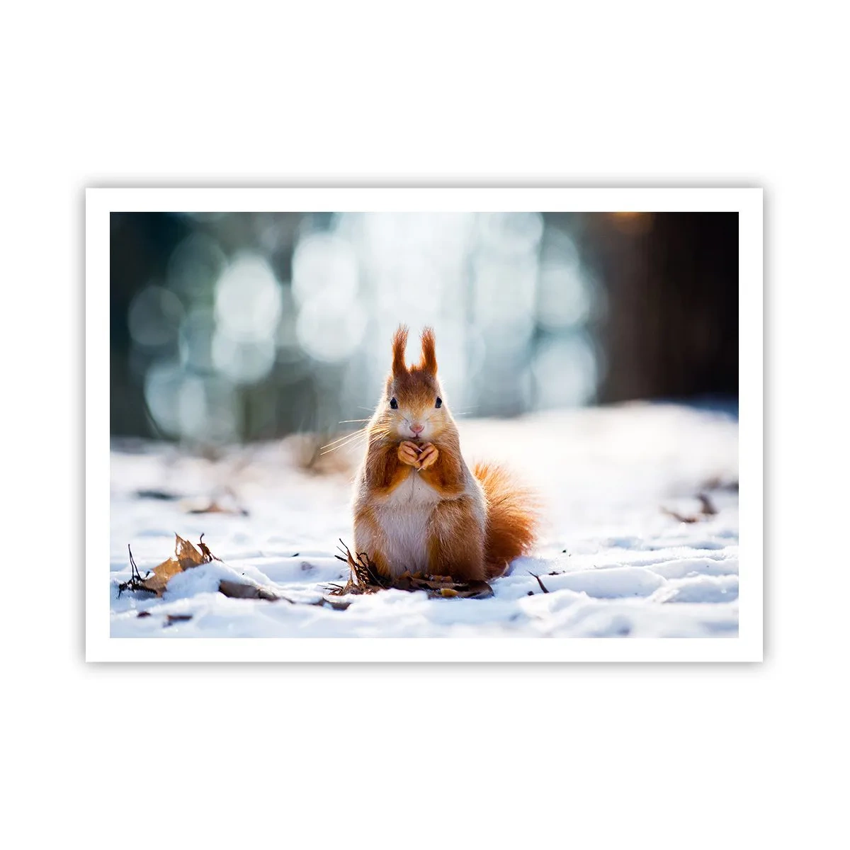 Poster - Uno scoiattolo in un paesaggio invernale - 100x70cm - Che cosa guardi? - Decorazione murale moderna per soggiorno e camera da letto ARTTOR