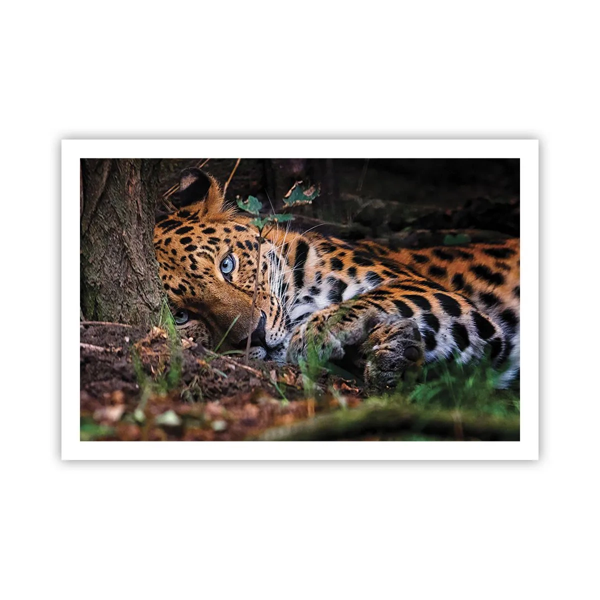 Poster - Fidati di me - 91x61 cm