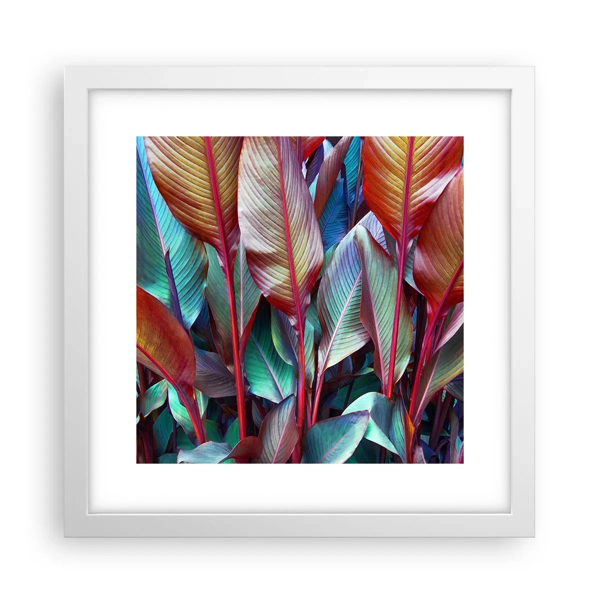 Poster in cornice bianca - Selva colorata - 30x30 cm