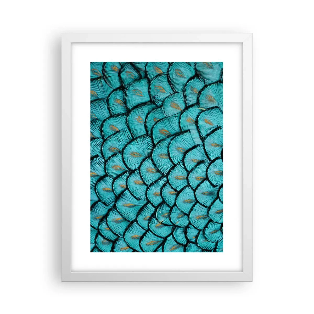 Poster in cornice bianca - La grande festa delle piume - 30x40 cm