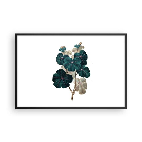 Poster in cornice nera - Dal vecchio erbario - 91x61 cm