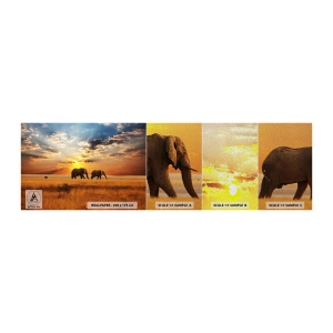 Campione di Fotomurale Premium Sand - Passeggiata familiare - Animali, Africa, Elefante - 100x30 cm