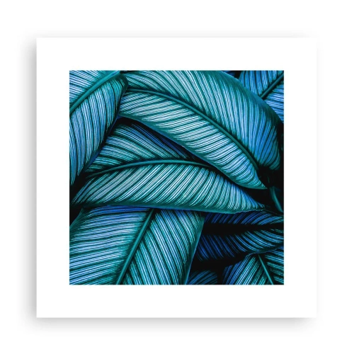 Poster - Le linee della vita - 30x30 cm