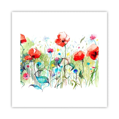 Poster - Il prato fiorito a maggio - 40x40 cm
