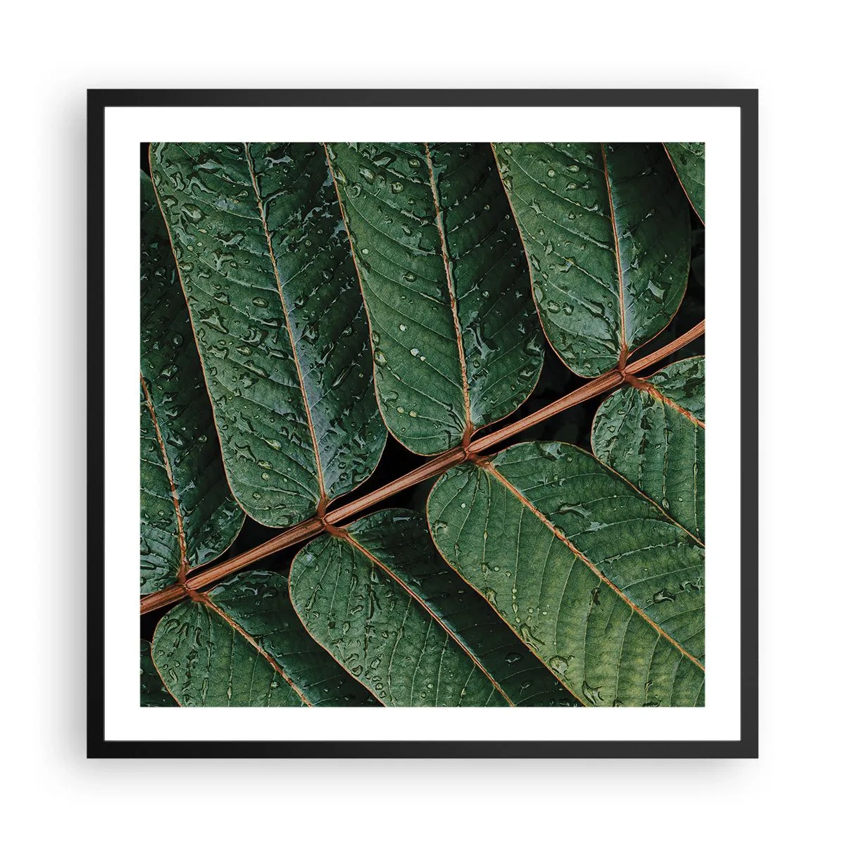 Poster in cornice nera - Al ritmo verde - 60x60 cm