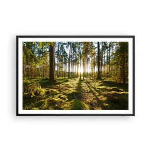 Poster in cornice nera - …dopo sette foreste - 91x61 cm