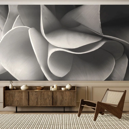 Fotomurali Premium Sand - Avviene nello spazio - Astrazione, Pezzo, Bianco e nero - 400x280 cm