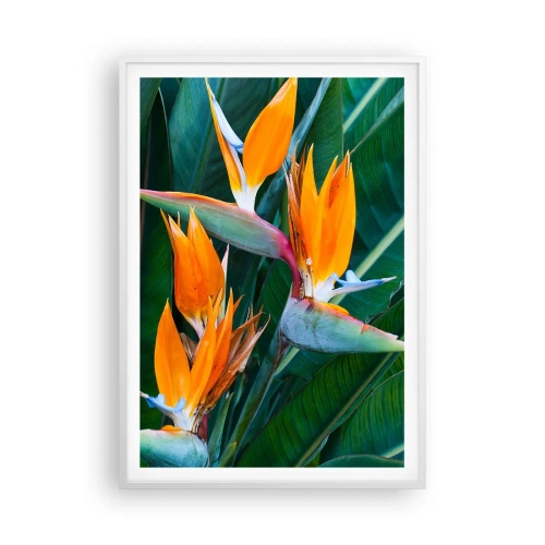 Poster in cornice bianca - È un fiore o un uccello? - 70x100 cm