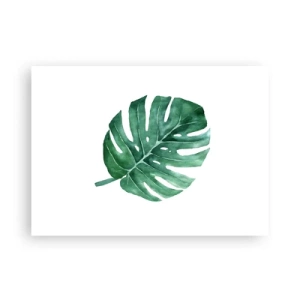 Poster - Concetto verde - 70x50 cm