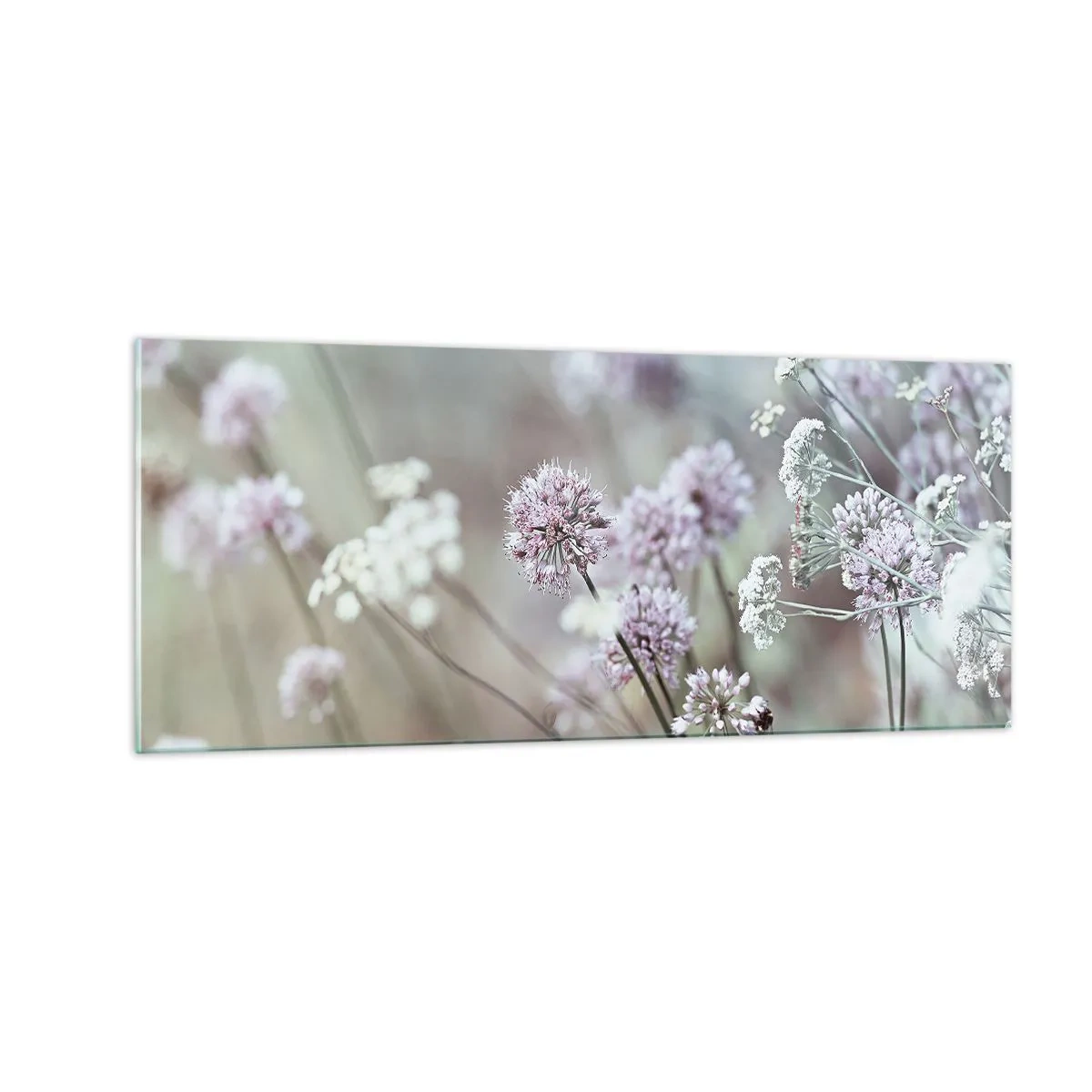 Quadro su vetro - Le dolci filigrane delle erbe - 100x40 cm