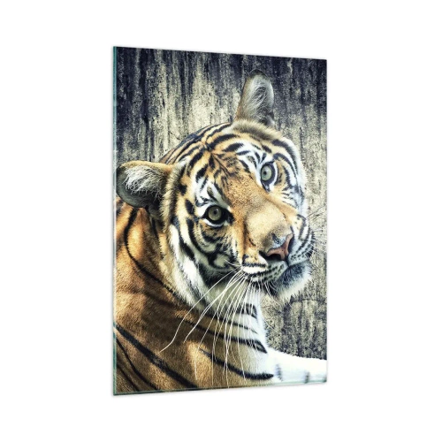 Quadro su vetro - Una tigre sdraiata contro un muro dalla consistenza ruvida - 80x120cm - Ritratto nei flussi di luce - Decorazione murale moderna per soggiorno e camera da letto ARTTOR