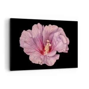 Quadro su tela - Stampe su Tela - Fiore rosa su sfondo nero - 120x80cm - Dritto al cuore - Decorazione murale moderna per soggiorno e camera da letto ARTTOR
