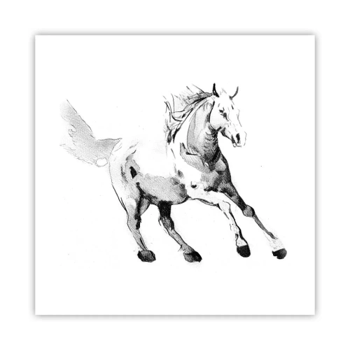 Poster - Anima indomabile - 40x40 cm