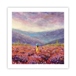 Poster - Nel mondo di lavanda - 50x50 cm