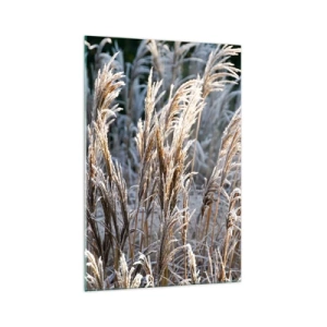 Quadro su vetro - Fili d'erba invernali ricoperti di brina su uno sfondo verde scuro - 70x100cm - Vestite di brina - Decorazione murale moderna per soggiorno e camera da letto ARTTOR