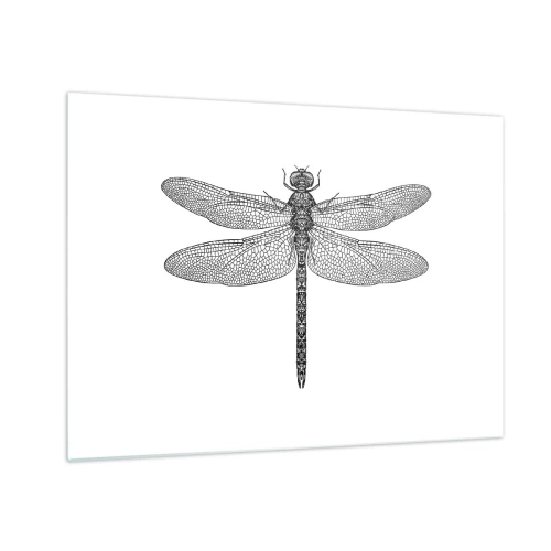 Quadro su vetro - Illustrazione dettagliata di una libellula in stile incisione su sfondo bianco - 70x50cm - La precisione della natura - Decorazione murale moderna per soggiorno e camera da letto ARTTOR