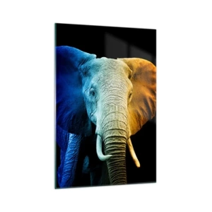 Quadro su vetro - Ritratto di elefante nei colori dell'arcobaleno - 70x100cm - Eccentrico, non strano - Decorazione murale moderna per soggiorno e camera da letto ARTTOR