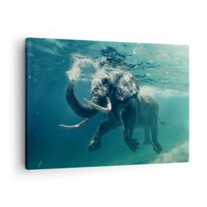 Quadro su tela - Stampe su Tela - Un elefante che nuota sott'acqua nelle profondità turchesi - 70x50cm - Tutti amano nuotare - Decorazione murale moderna per soggiorno e camera da letto ARTTOR