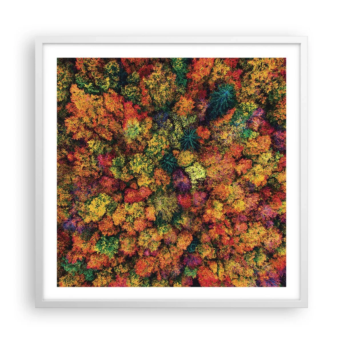 Poster in cornice bianca - Il bouquet degli alberi d'autunno - 60x60 cm