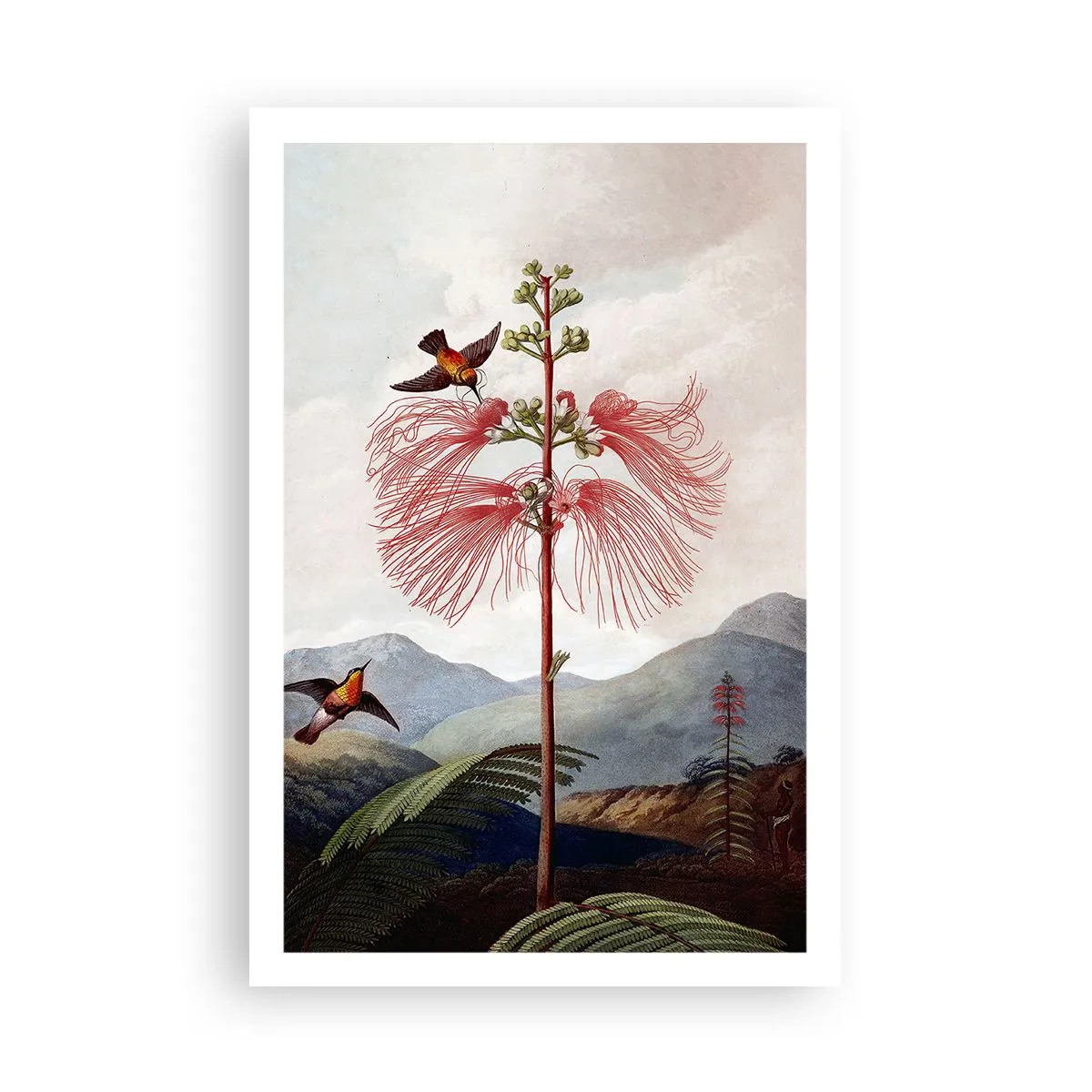 Poster - Nel paradiso tropicale - 61x91 cm